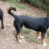 2012_brida und frankie